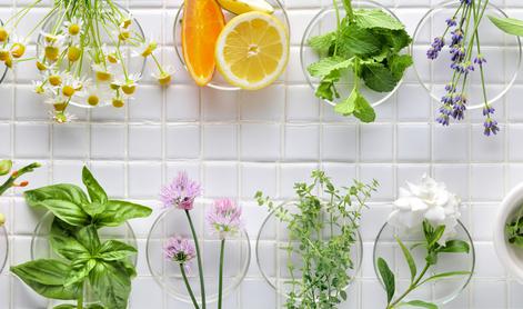 Aromaterapija: dišave in zelišča v vrtu, ki pomirjajo