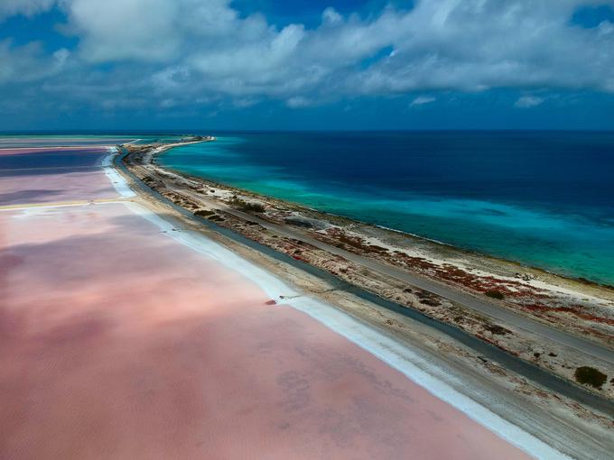 Bonaire, Karibsko morje | Foto: Getty Images