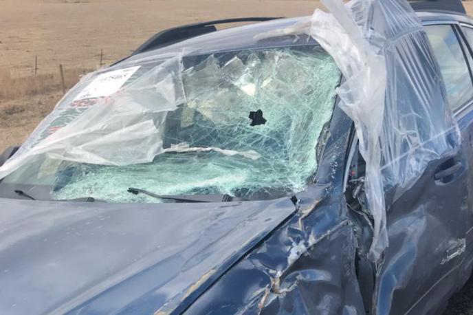 avtomobil vetrobransko steklo nesreča | Foto Montana Highway Patrol