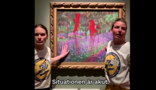 Aktivistki z barvo nad Monetovo umetnino #video