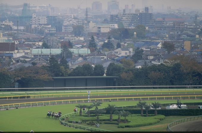 Tokyo Racecourse | Foto: Getty Images