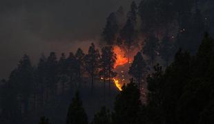 Na Kanarskih otokih znova gori, na Hrvaškem požare ukrotili