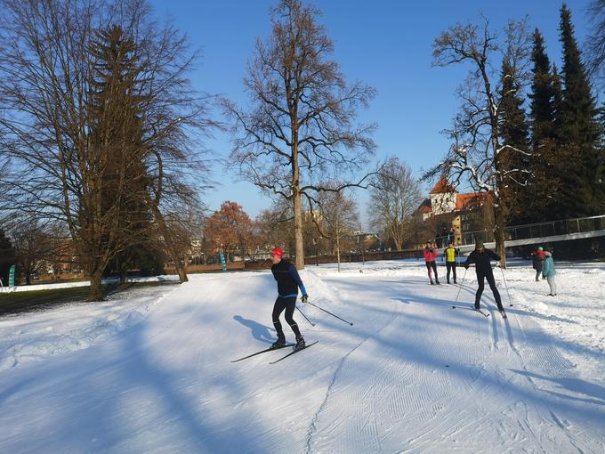 Tek na smučeh v mestnem parku, nova oblika zimske rekreacije v Celju. Foto: MOC  | Foto: 