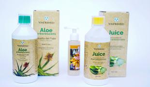 Zdravilni učinki Aloe Arborescens