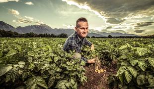 Kmetija, kjer za rast krompirja uporabljajo posebne uroke