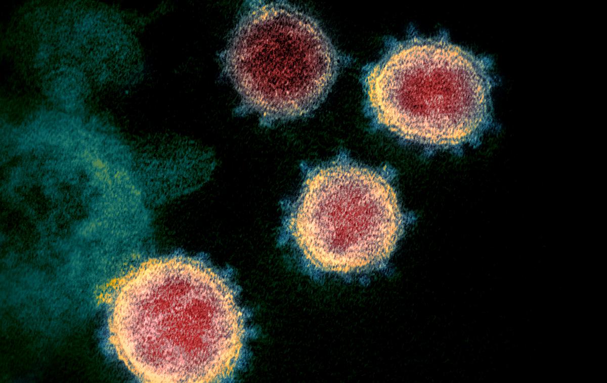 SARS-CoV-2 | Vlada zaradi novih različic novega koronavirusa razmišlja tudi o krajši zaustavitvi javnega življenja. | Foto Reuters