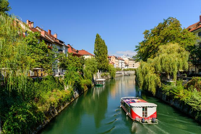 Ljubljana je bila leta 2017 in 2019 razglašena za čebelam najprijaznejšo občino v Sloveniji. | Foto: Getty Images