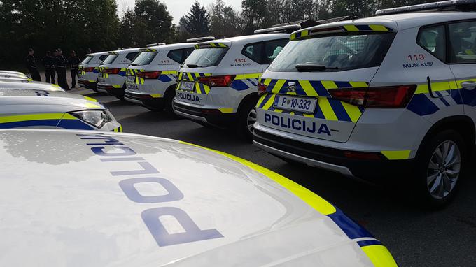 Policijo pri nabavi vozil zanima predvsem varnost vozila v primeru trka. Pri tem upoštevajo teste organizacije Euro NCAP. | Foto: Gregor Pavšič