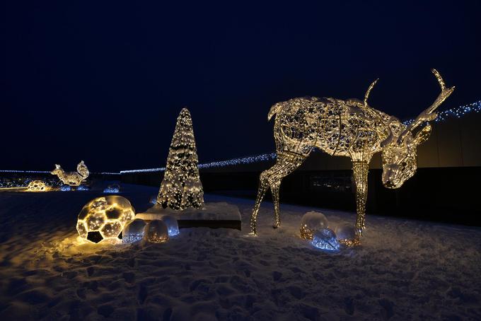 Lanska edinstvena božična dekoracija na ALEJI SKY. (Foto: Robert Krumpak) | Foto: 