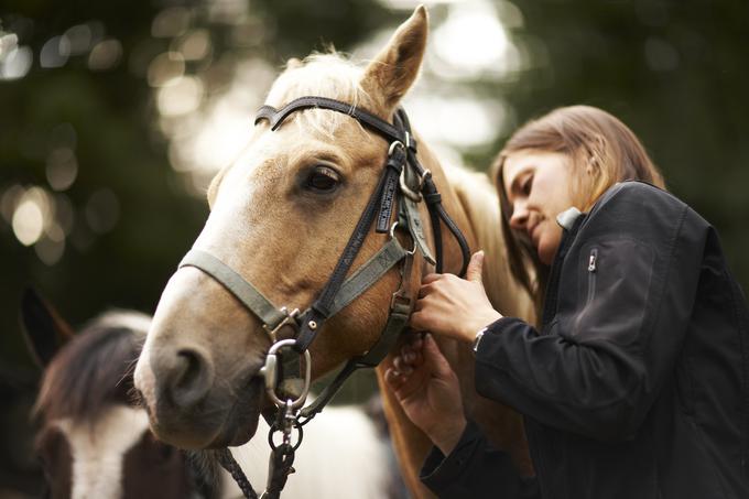 Nobene potrebe ni, da je čuvaj konjev tudi ljubitelj živali, je menil eden od delodajalcev. | Foto: Thinkstock