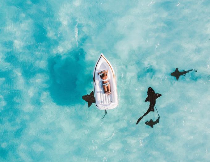morje čoln morski psi | Foto: 
