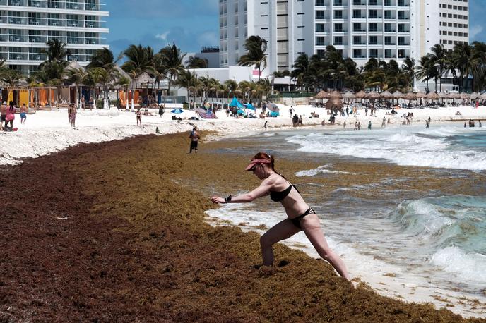 Cancun alge | Foto Reuters