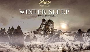 OCENA FILMA: Zimsko spanje
