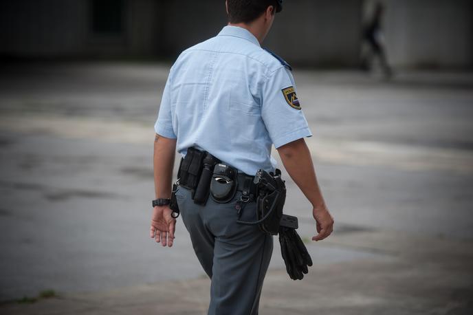 slovenska policija | Ljubljanski policisti storilce še iščejo.  | Foto Siol.net