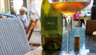 Nov uspeh slovenskih vin: vinar iz Goriških brd med najboljšimi na svetu