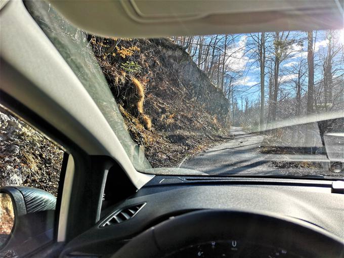 Del ceste skozi Trnovski gozd je zaradi strmega vzpona tudi asfaltiran. | Foto: Gregor Pavšič