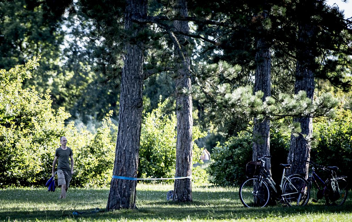 park, park Tivoli, Ljubljana | Arso je pred dnevi v sodelovanju z javnim podjetjem Voka Snaga v fenološkem parku zasadil pet novih dreves, in sicer vrste rdeči bor, lipovec, češnja Bowenden, češnja Lutter in črni bezeg. | Foto Ana Kovač