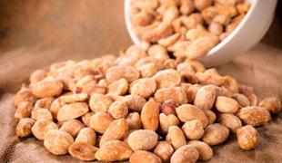 Bi pri otrocih, alergičnih na arašide, lahko vzpostavili toleranco zanje?