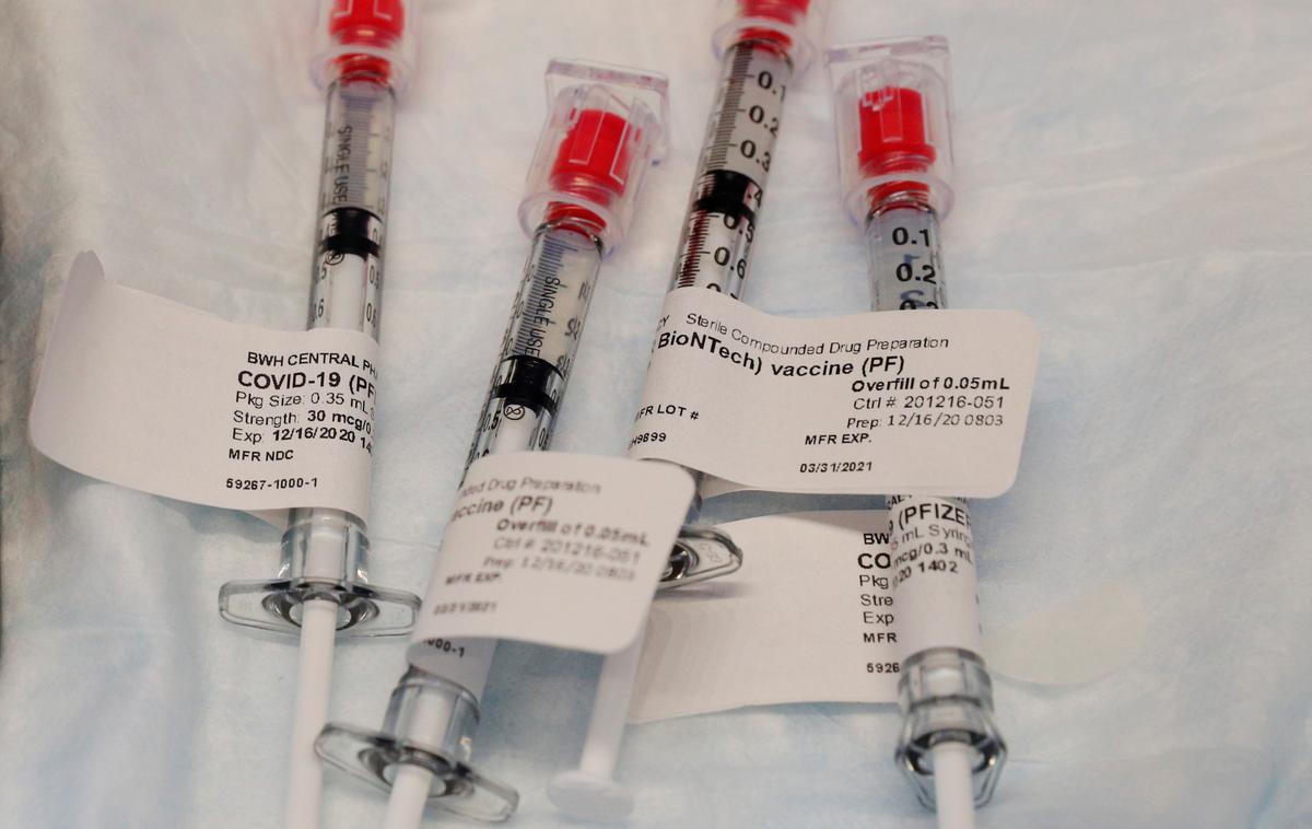 Cepivo | Foto Reuters