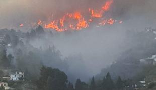 Na španskem kanarskem otoku zaradi požara evakuirali najmanj 500 ljudi