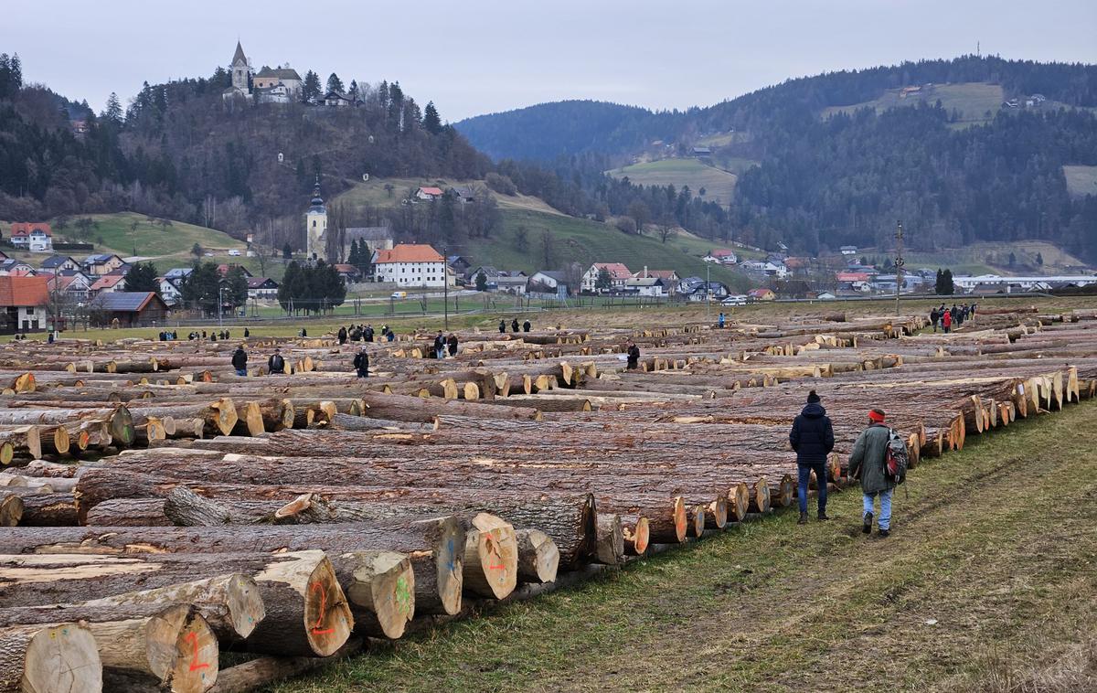 Les | Cene posekanega lesa padajo.  | Foto STA