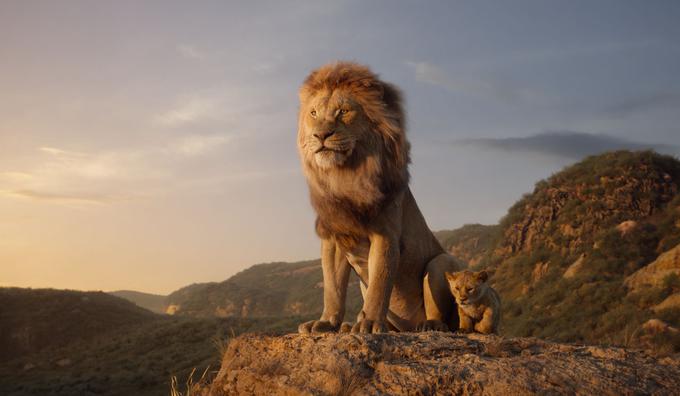 Levji kralj | Foto: Disney