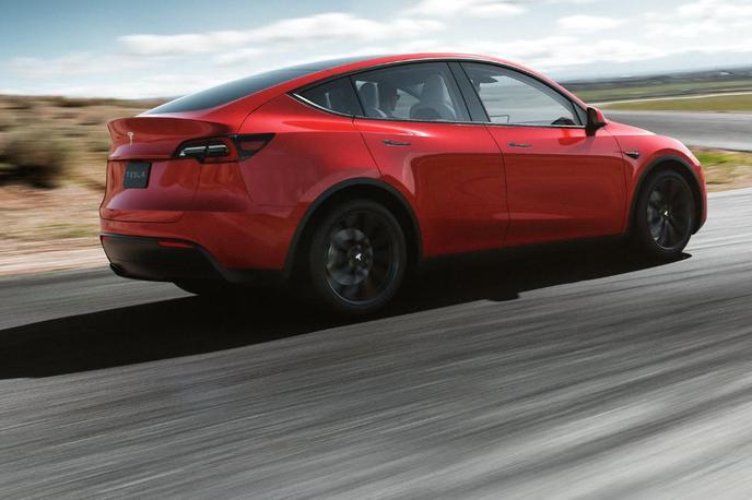 Tesla model Y | Teslin naslednji model Y bo ključni avtomobil nemške tovarne. | Foto Tesla