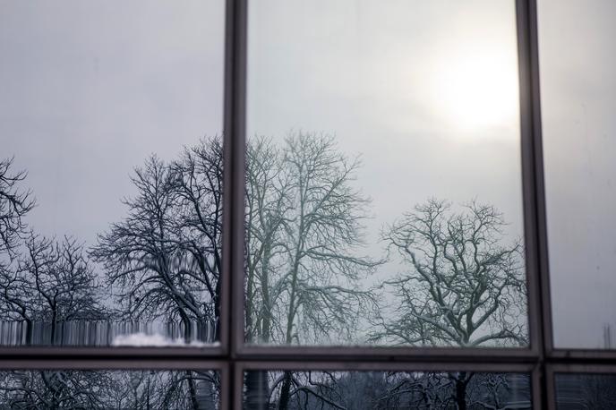 Mraz | Najnižje jutranje temperature bodo od -14 do -6 stopinj Celzija. | Foto Ana Kovač