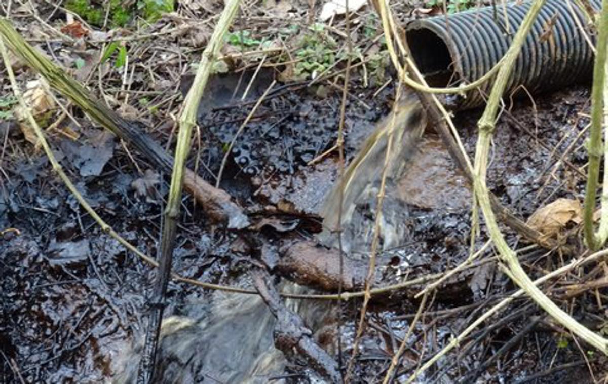 Ceroz odlagališče ekološka bomba | Odpadne vode z odlagališča onesnažujejo okolje na območju občin Laško in Hrastnik, menijo okoliški prebivalci.  | Foto Matic Rotar