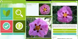 aplikacije za vrtnarjenje