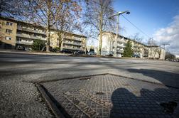 Kako se je vaška pot spremenila v eno daljših in prometnejših cest v Ljubljani
