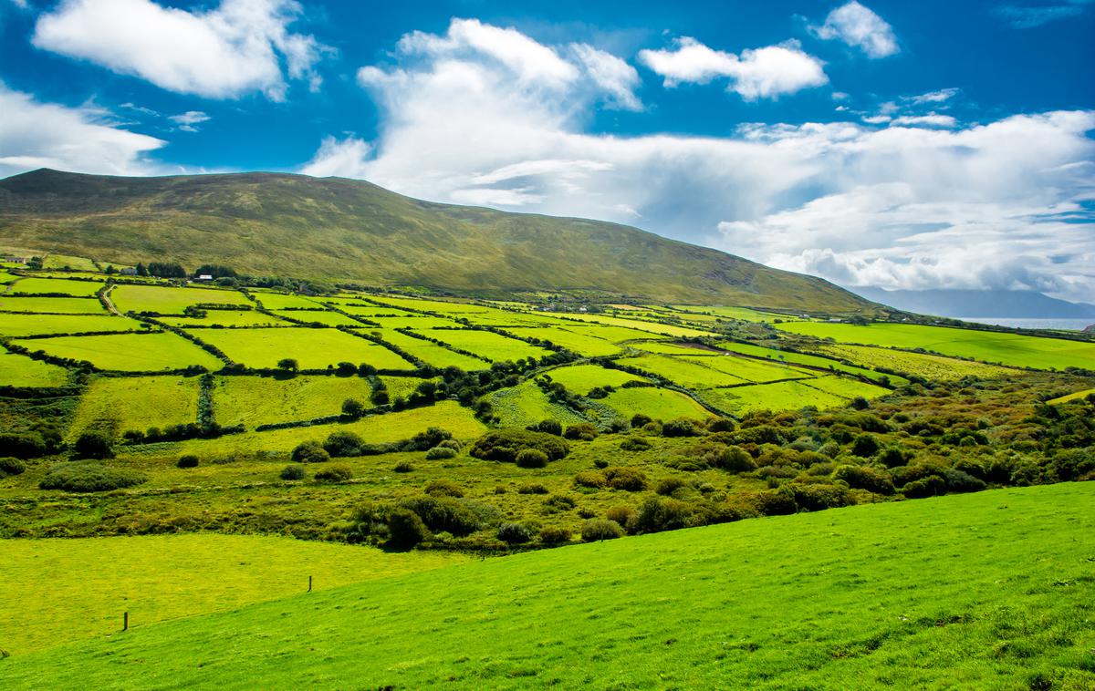 Irska, podeželje, kmetijstvo, poljedelstvo | Irska | Foto Thinkstock