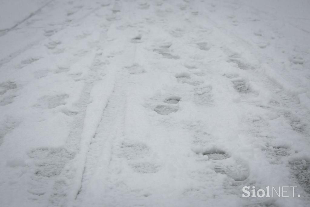 Sneg v Ljubljani. Sneženje. Promet.