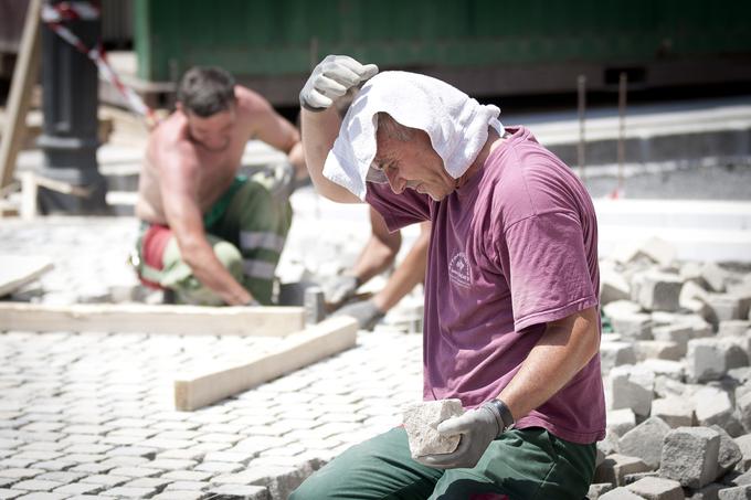 Delavec iz Bosne mora biti obvezno eno leto zaposlen pri istem delodajalcu. Kar pomeni, da je odvisen od dobrote lastnika podjetja. Skratka, trda mu prede. | Foto: Ana Kovač