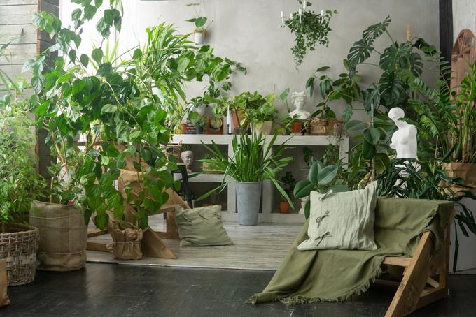 Tekočina iz kompostnika Bokashi Organko je prava dragocenost za vaše rastline. | Foto: Shutterstock