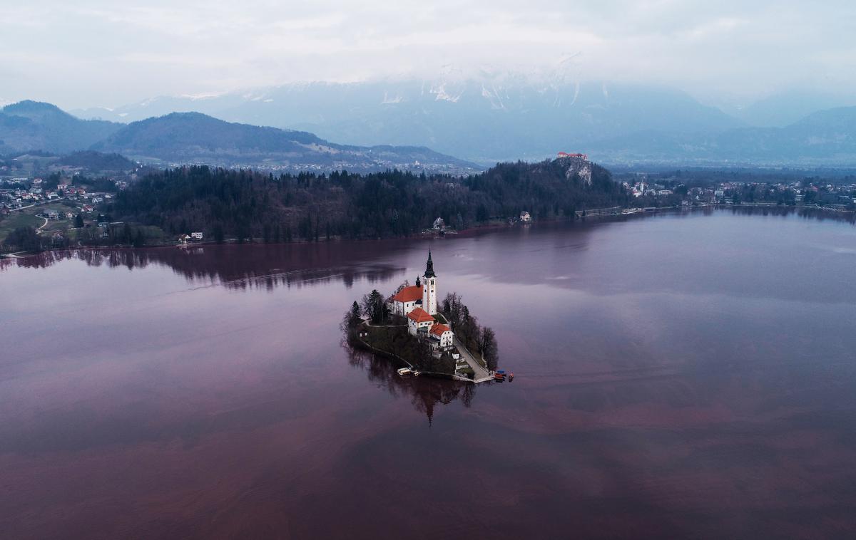 Blejsko jezero rdeče | Cvetenje se je v Blejskem jezeru v preteklosti pojavilo že velikokrat. Glavni vzrok je prevelik vnos hranil v jezero, ki izhaja iz več virov. | Foto Jani Kolman
