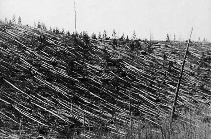 Takole je drevesa leta 1908 v tako imenovanem dogodku Tunguska v spanec zazibal udarni val meteorita, ki ga je po mnenju znanstvenikov razneslo od pet do deset kilometrov nad divjino v Sibiriji.  | Foto: Thomas Hilmes/Wikimedia Commons