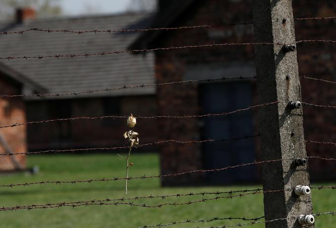 Koncentracijsko taborišče v Auschwitzu. | Foto: Reuters