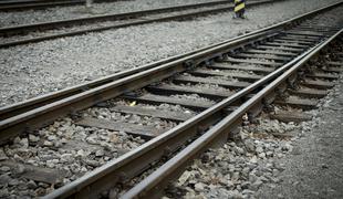 V okolici Novega mesta vlak do smrti povozil moškega