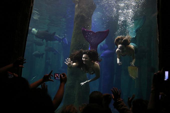 Akvarij v Sao Paulu | Foto: Reuters