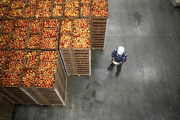 Uvoz in izvoz sadja | EU je tretja največja trgovinska partnerica Nove Zelandije, ki na celino izvaža vina, sadje in meso. | Foto Shutterstock