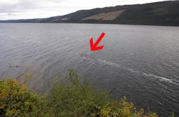 Je turistu uspelo posneti "pošast iz Loch Nessa"? #video