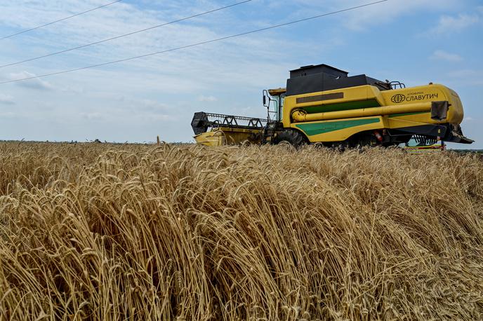 Ukrajinsko žito | Foto Reuters