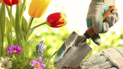 Zakaj je vrtnarjenje dobro za zdravje?