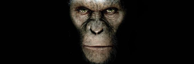 Hvaljena trilogija o uporu inteligentnih opic proti človeštvu, s katero je znamenita ZF-franšiza vstala od mrtvih. V prvem delu izvemo, kaj je šlo narobe, v nadaljevanju opice pod vodstvom Cezarja (Andy Serkis) ogroža človeška tolpa, v tretjem delu pa spremljamo odločilno bitko za planet. Vzpon Planeta opic (2011) in Vojna za Planet opic (2017): v torek, 10. 7., ob 19.00/20.45 na HBO 2.* (Oba filma sta na voljo tudi na HBO OD/GO.) │Film Zora Planeta opic (2014) je na voljo v videoteki DKino. | Foto: 