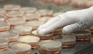 Na antibiotike odporne bakterije ogrožajo prihodnost človeštva