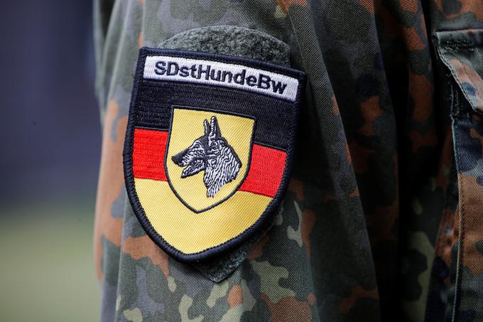 Vseh osem psov, ki so vohali v nemški raziskavi pod vodstvom veterinarske fakultete univerze v Hannovru, se je že pred tem izurilo in izkazalo v nemški vojski. | Foto: Reuters