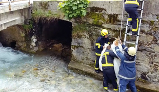 Kako so gasilci iz potoka rešili srno #video