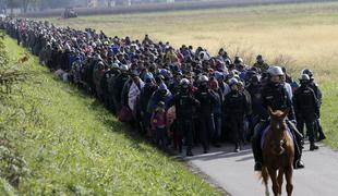 SDS umaknila predlog za ustavitev nezakonitih migracij