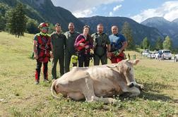 Reševanje za reševanjem: krava padla v globino, poškodbe planincev, izgubljeni tujci